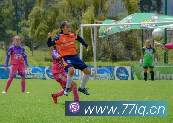 kaiyun官方登录入口APP 封面图